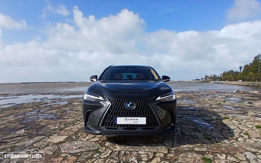 Lexus NX 450h+ - 9