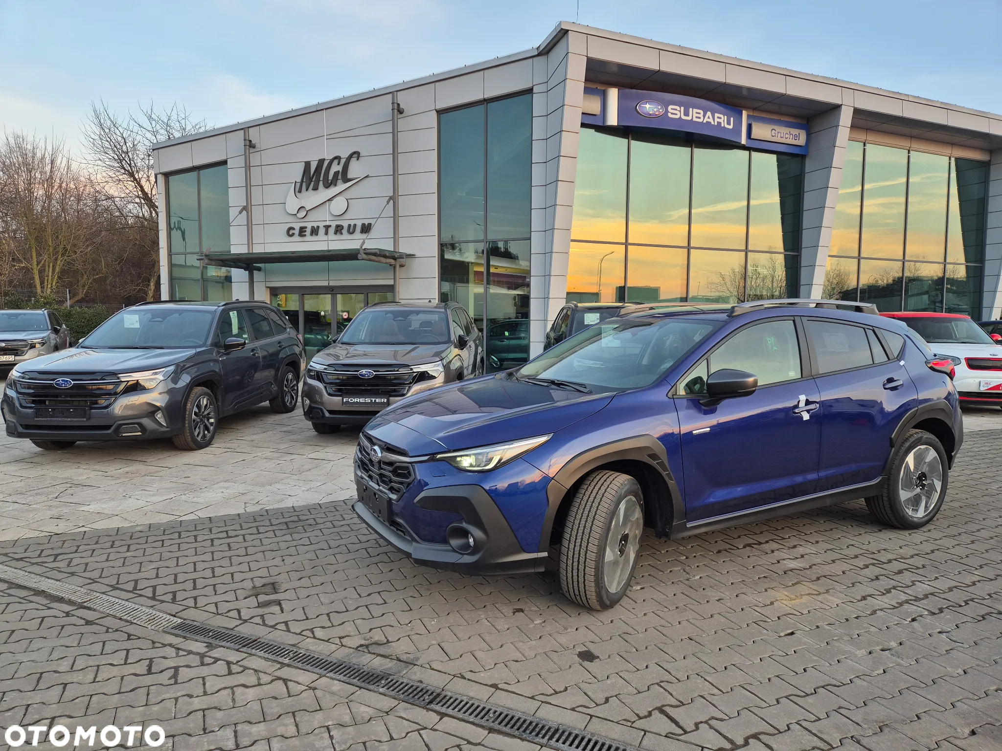 Subaru Crosstrek 2.0i-S e-Boxer Platinum (EyeSight) Lineartronic - 29