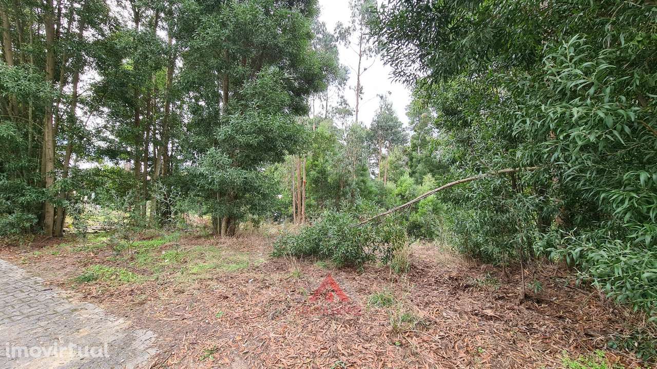 Terreno Para Construção / Habitação - Grande imagem: 2/24