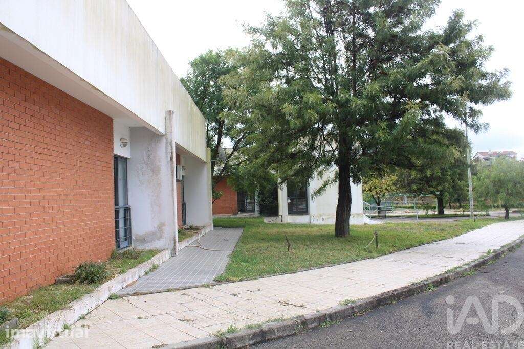 Loja / Estabelecimento Comercial em Sarnadas de Ródão de 2210,00 m2 - Grande imagem: 3/28