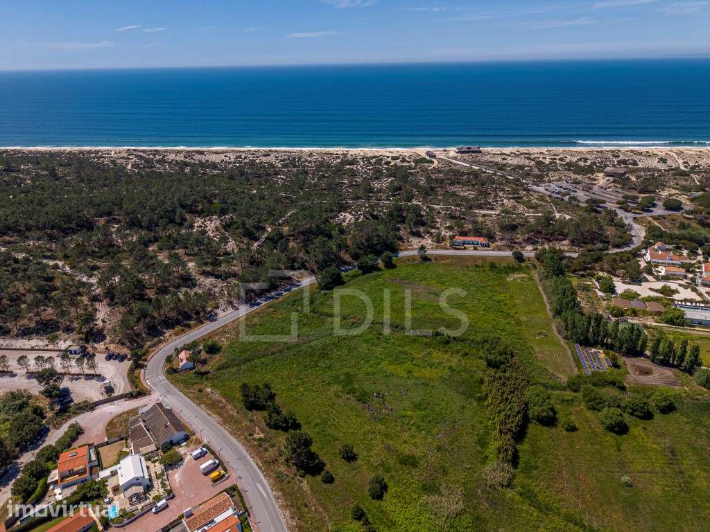 Moradia T3, em projeto, situada no Pego - Grande imagem: 3/20