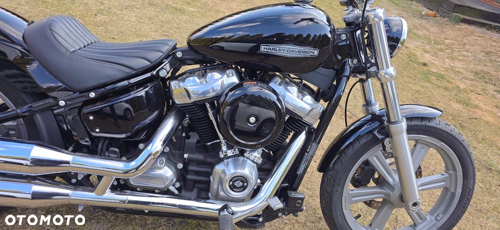 Harley-Davidson Softail Standard - 3