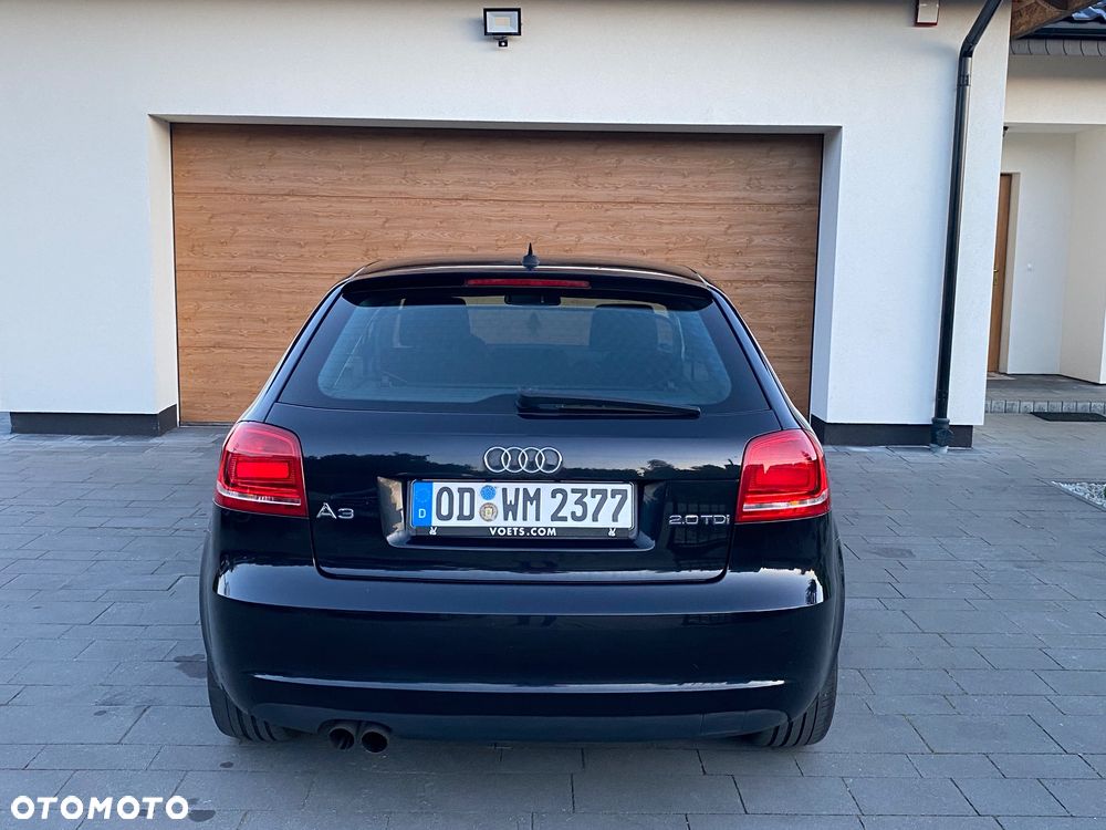 Audi A3 3-drzwiowe 2.0 TDI DPF (DSG) S tronic S Line Sportpaket plus - 13