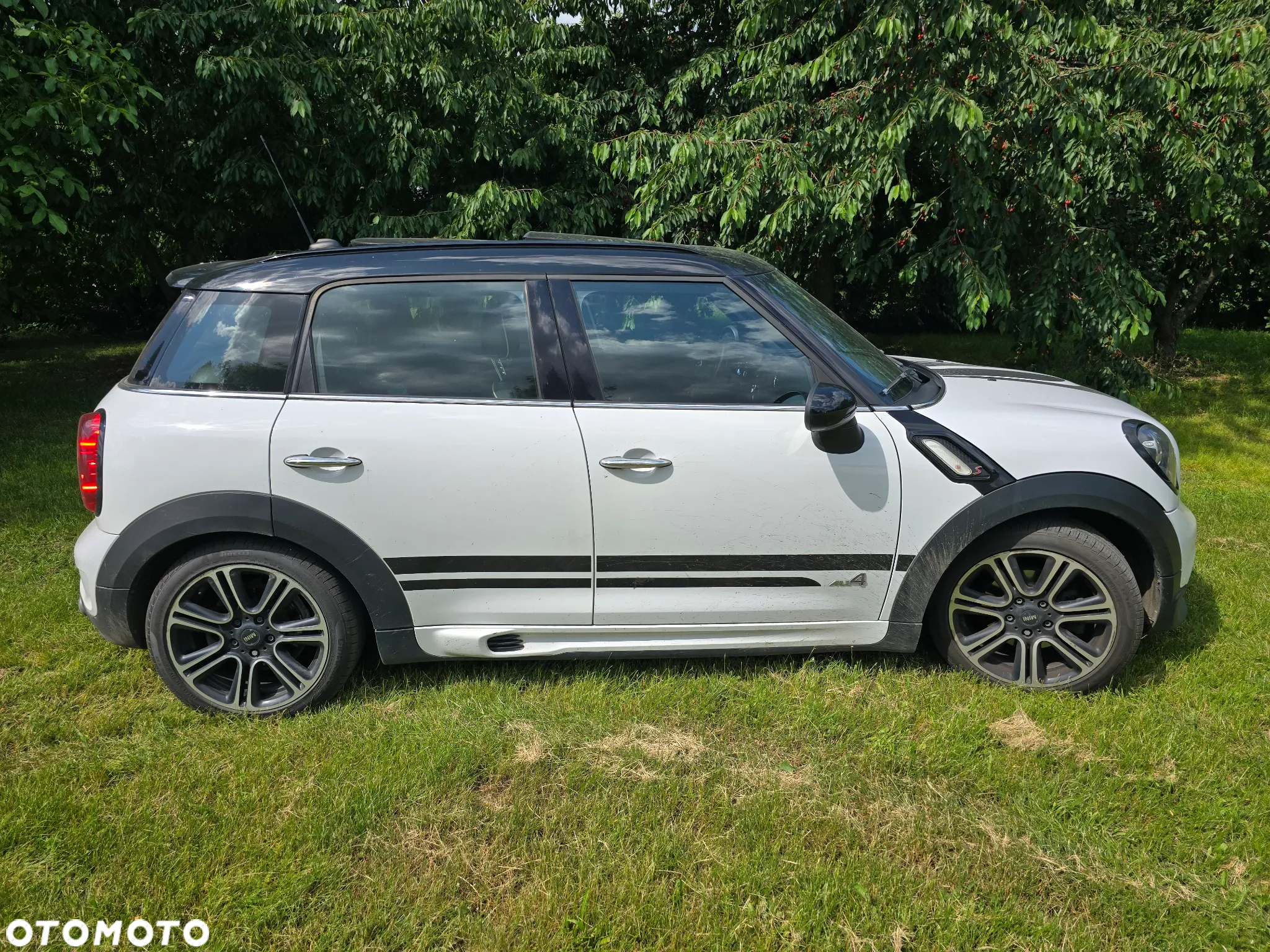 MINI Countryman - 7