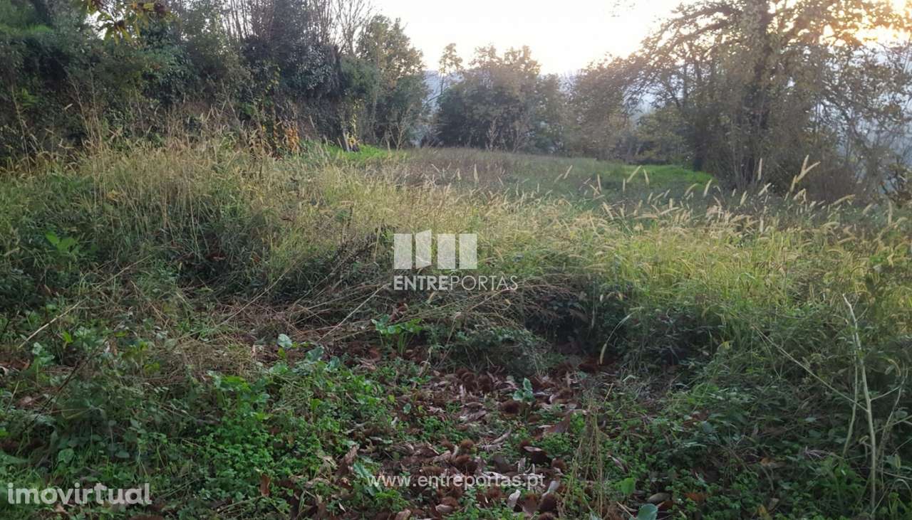 Venda de Terreno com área de 12740 m2, Souselo, Cinfães - Grande imagem: 5/23