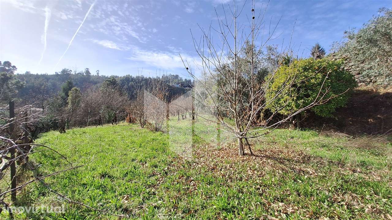 Terreno Rústico  Venda em Santiago de Besteiros,Tondela - Grande imagem: 2/23