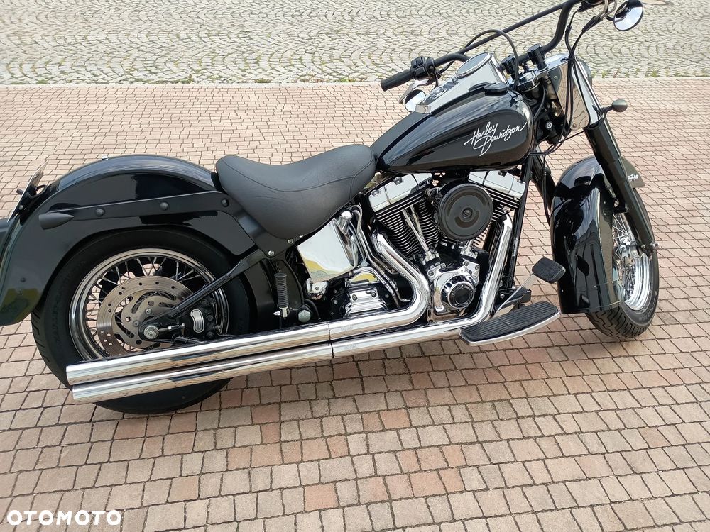 Harley-Davidson Softail Heritage Classic - 8