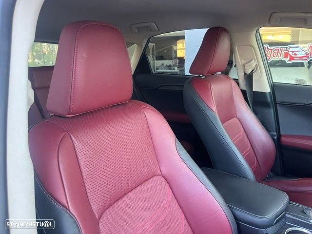 Lexus NX 300h Executive+ - 13