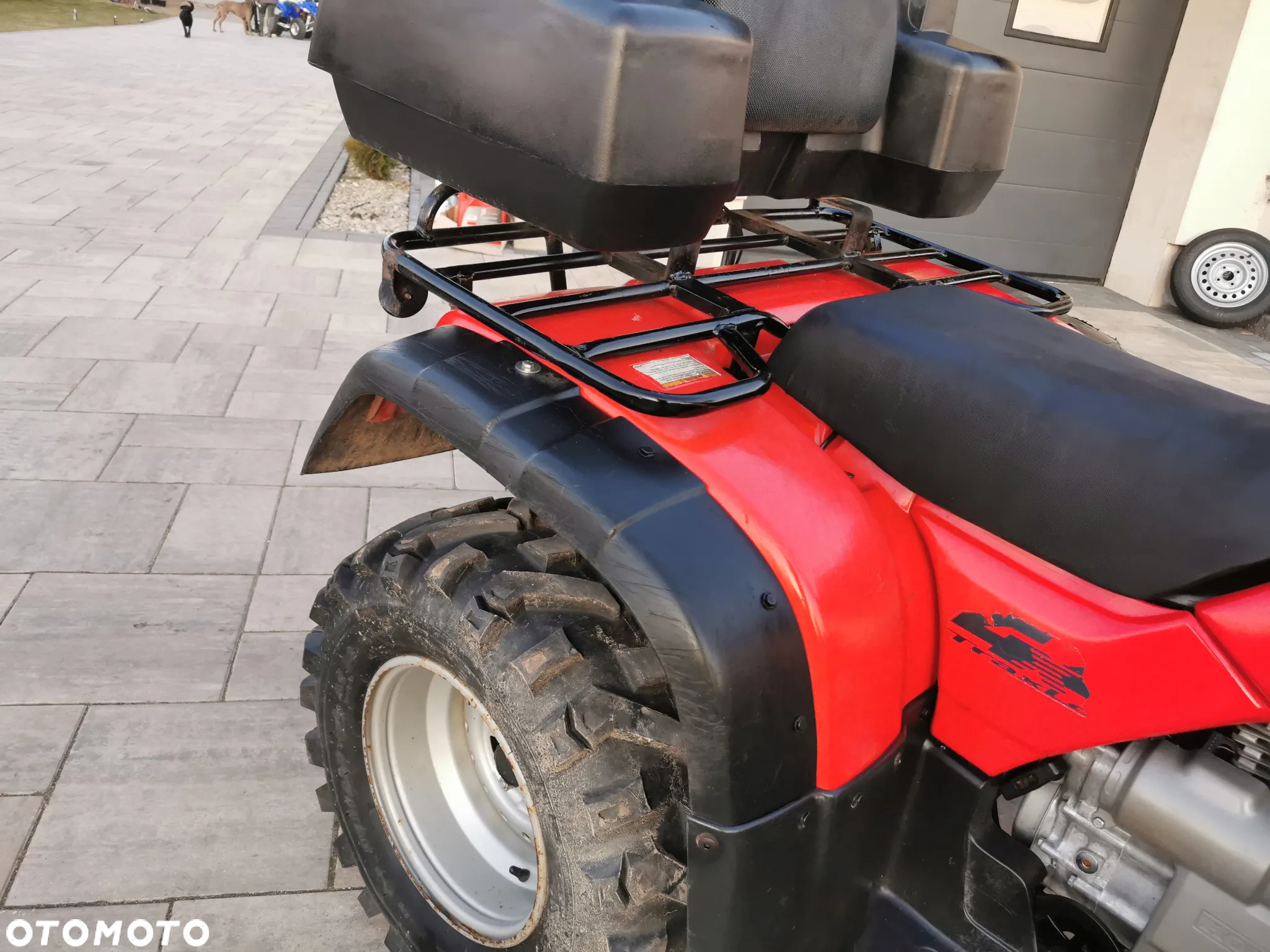 Honda TRX - 19