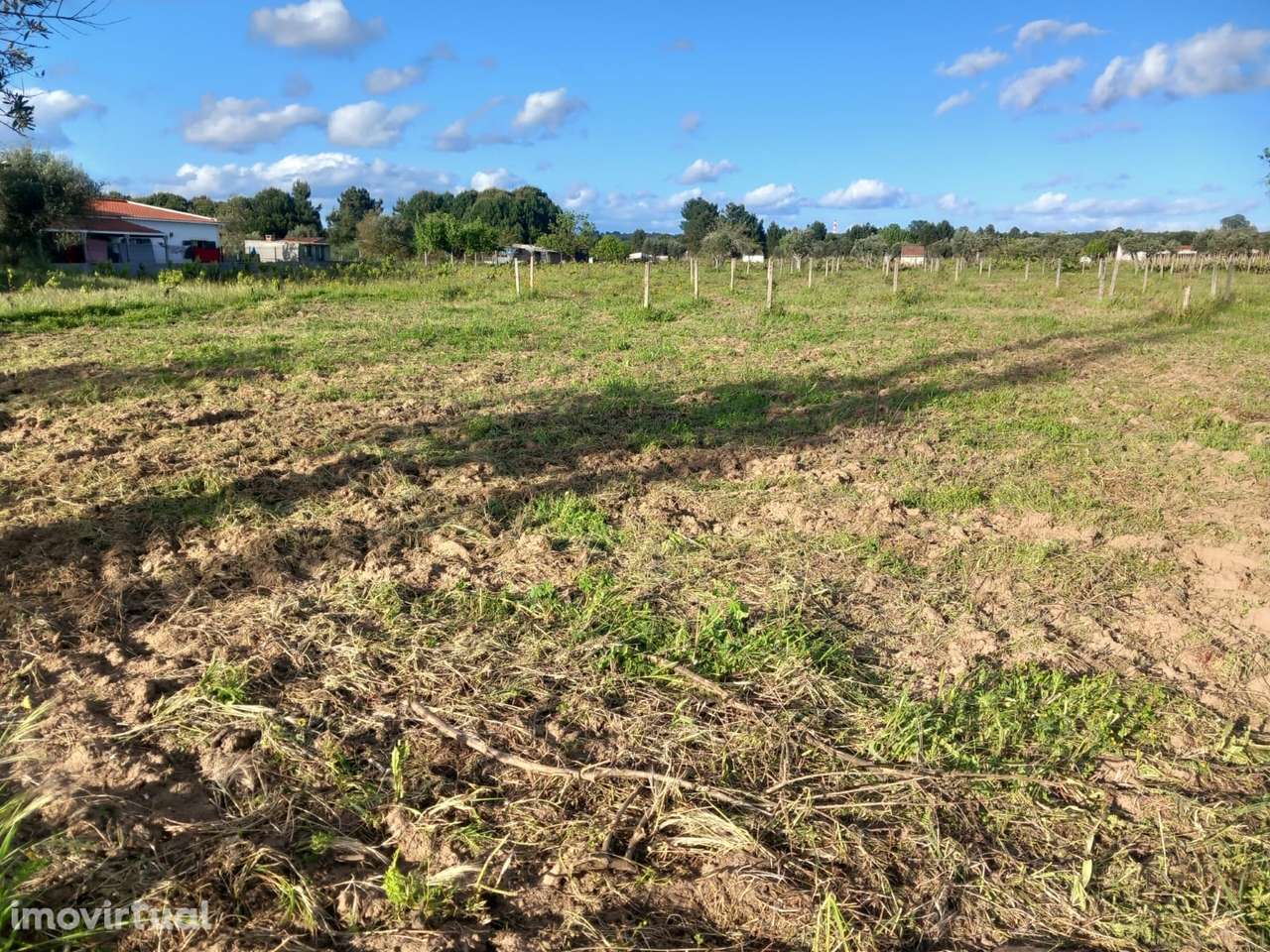 Terreno  Venda em São Miguel do Rio Torto e Rossio ao Sul do Tejo,Abra - Grande imagem: 3/3