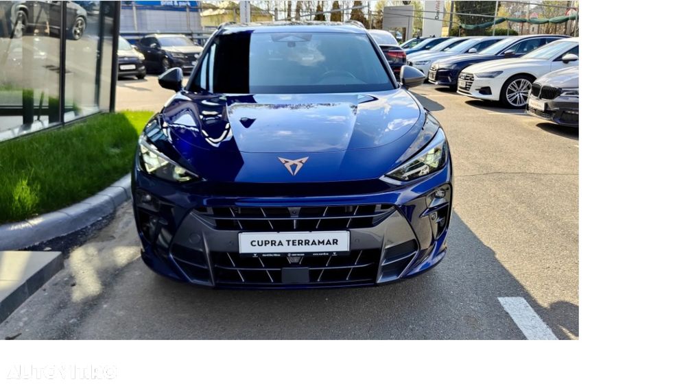 Cupra Terramar - 4