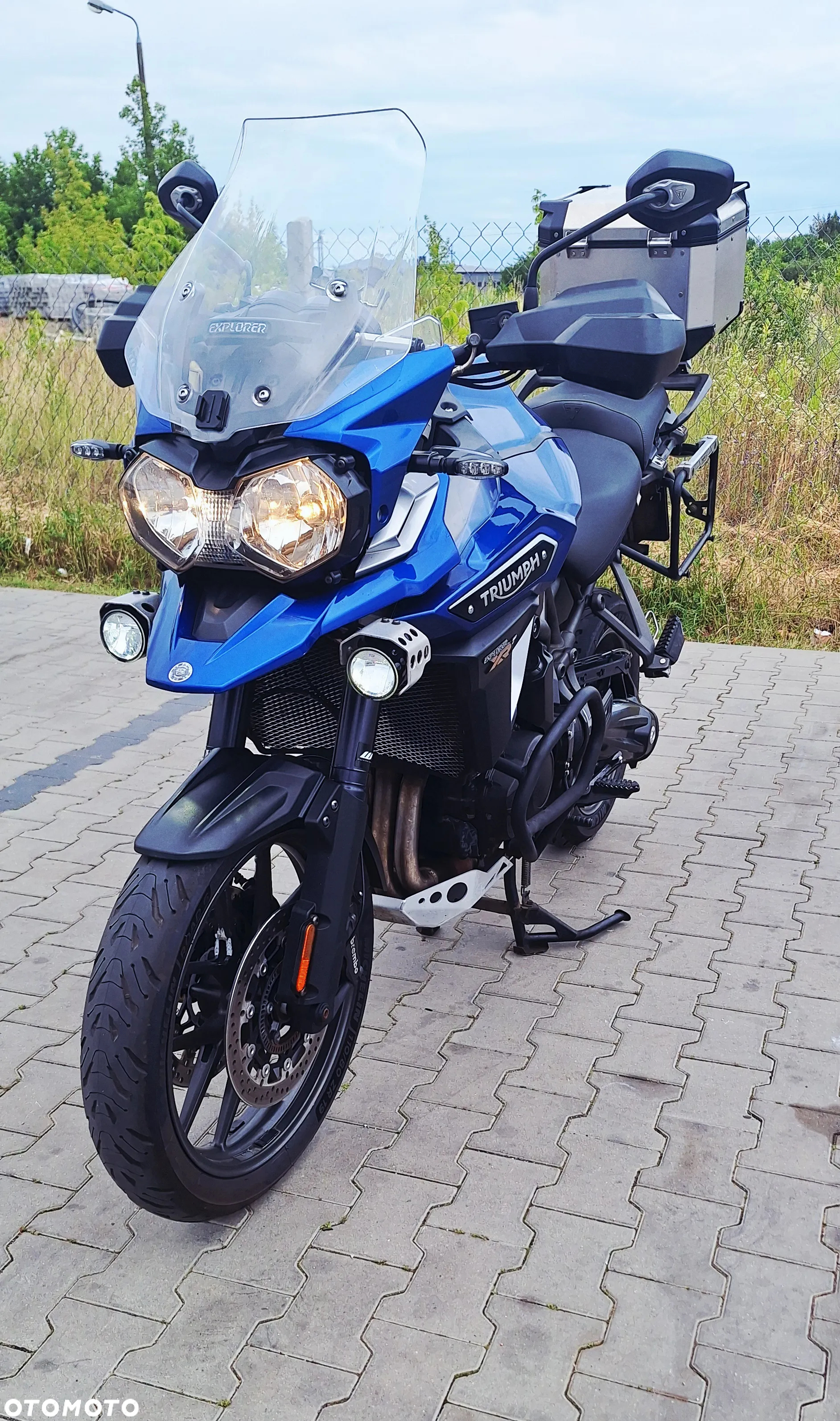 Triumph Tiger - 15