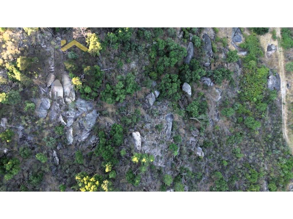 Terreno rústico com 5.750m2, para venda, na freguesia de Caféde. - Grande imagem: 5/6