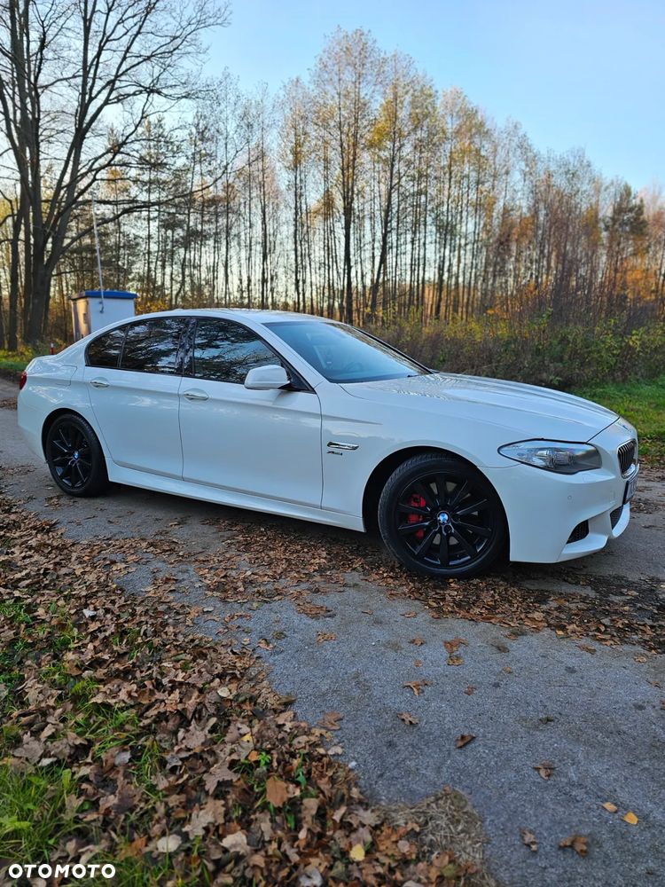 BMW Seria 5 530d xDrive - 17