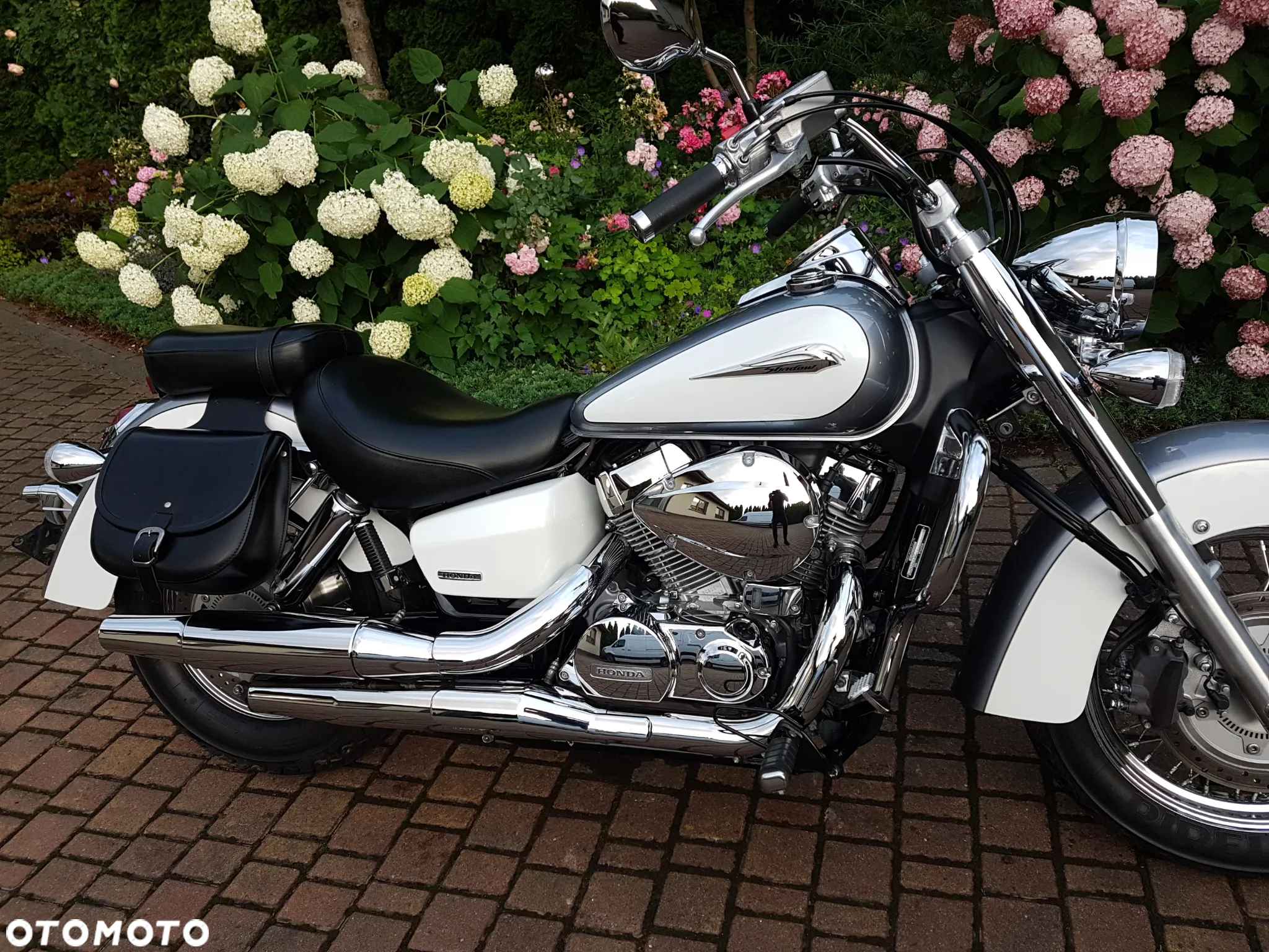 Honda Shadow - 2
