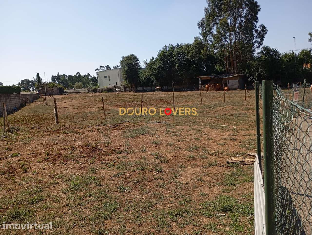 TERRENO PARA CONSTRUÇÃO EM ALTURA | 3.505 m2 | SUZÃO, VALONGO - Grande imagem: 4/5