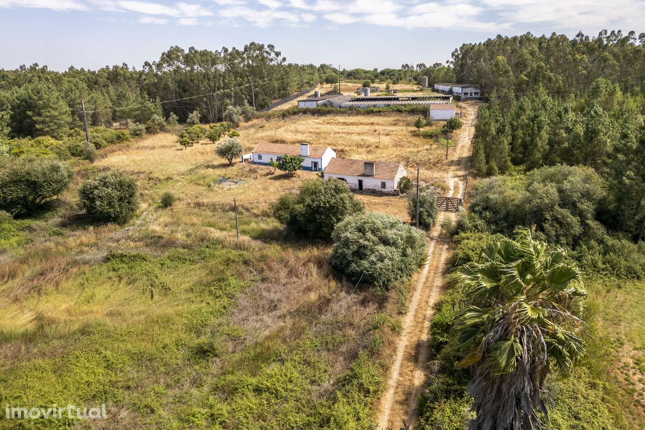 Quinta  5hct Rústica / Urbana com Potencial Único -  Branca - Coruche - Grande imagem: 3/24