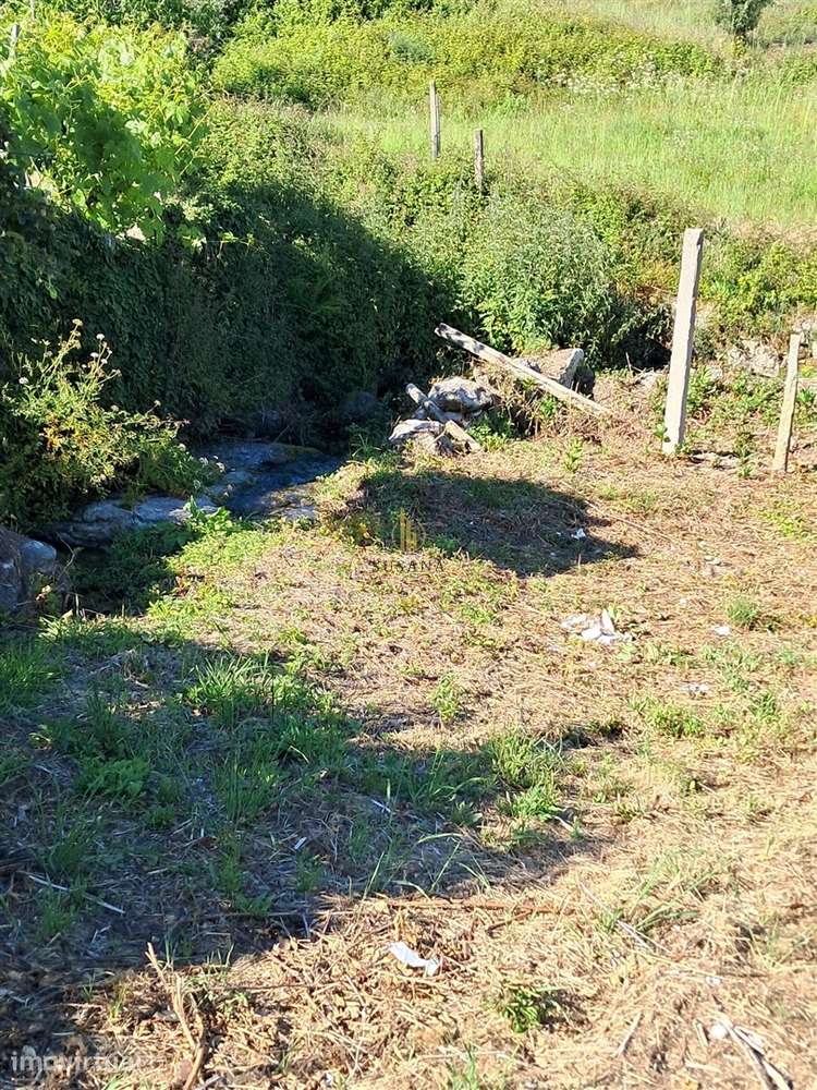 Terreno Para Construção  Venda em Nelas,Nelas - Grande imagem: 4/17
