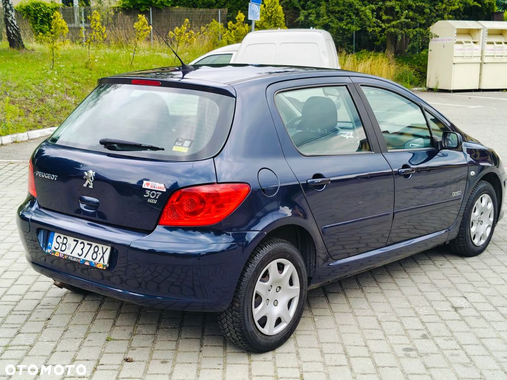 Peugeot 307 HDi 90 Grand Filou Cool - 15