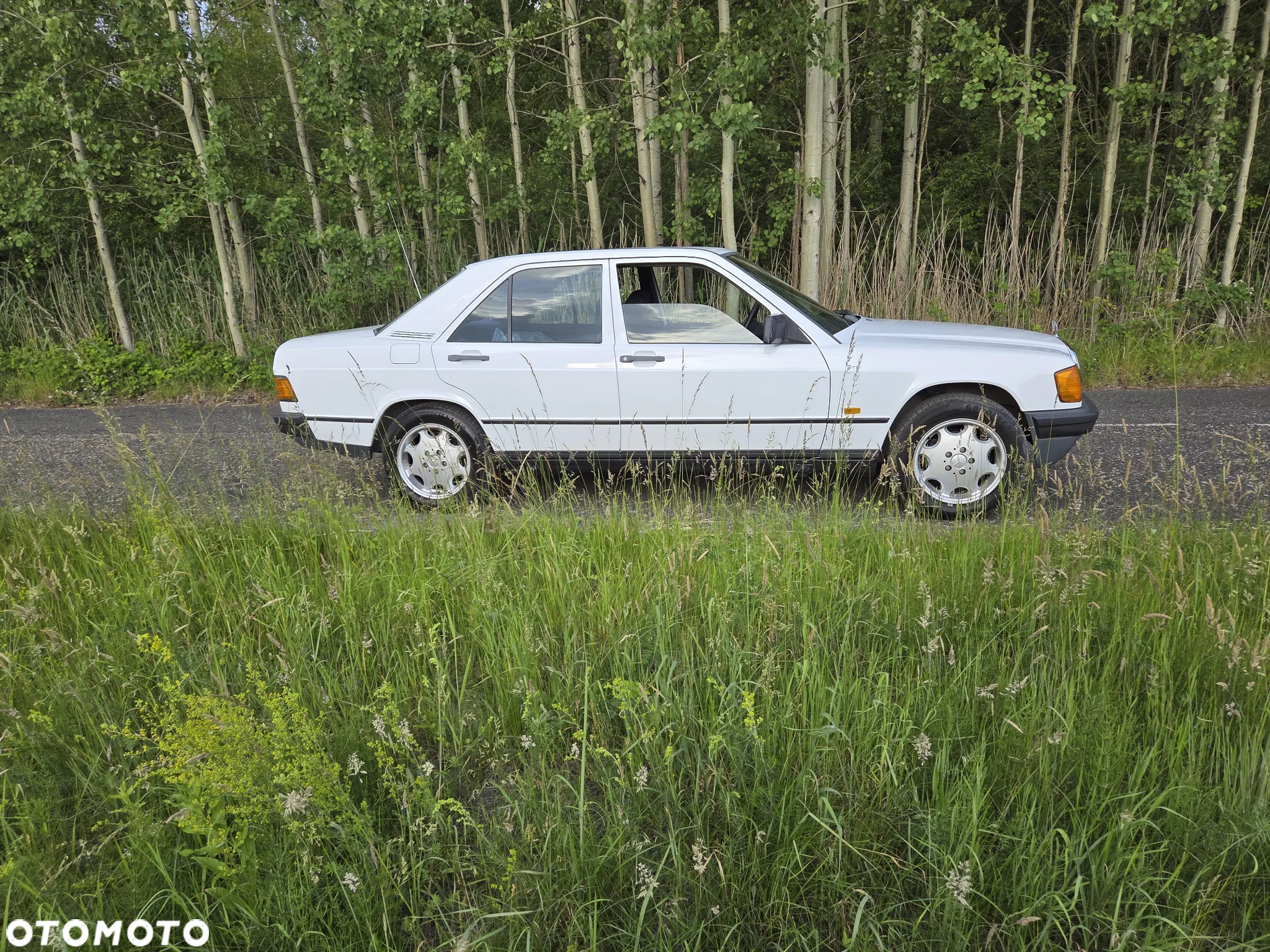 Mercedes-Benz W201 (190) - 9