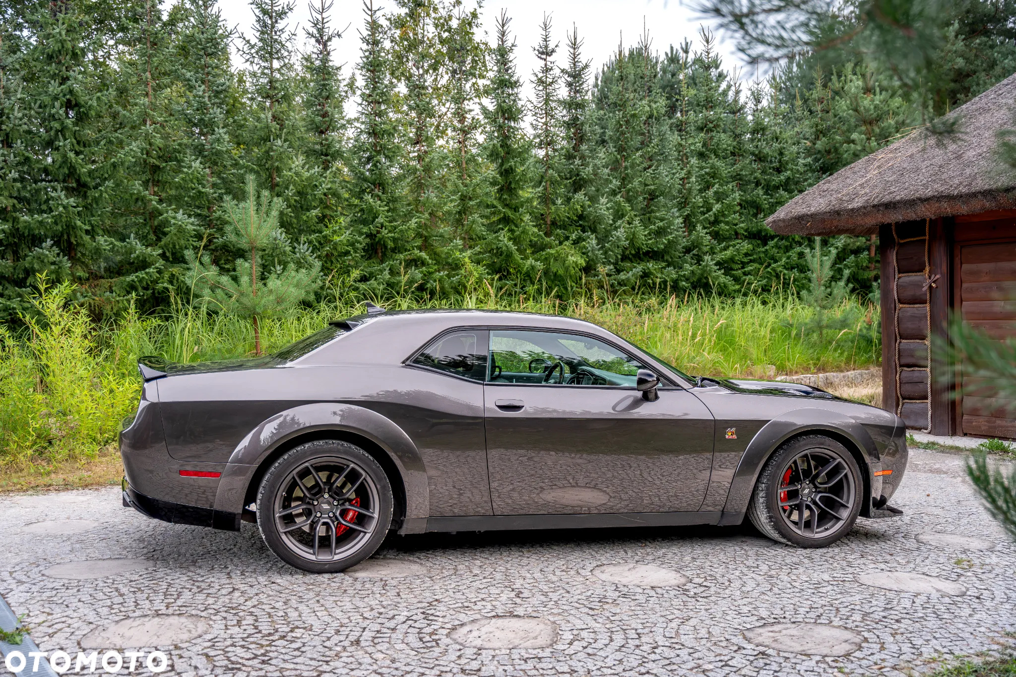 Dodge Challenger 6.4 Scat PackWidebody - 9
