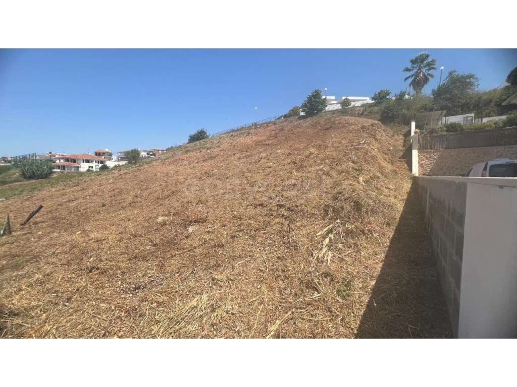 Terreno para Construção - Maiorga, Alcobaça. - Grande imagem: 4/7