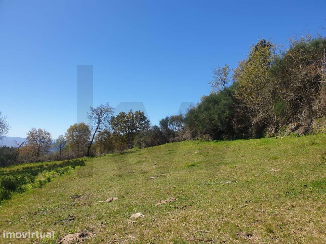 Terreno Rústico com 1430 m2 em Rio Douro, Cabeceiras de Basto - Grande imagem: 5/10