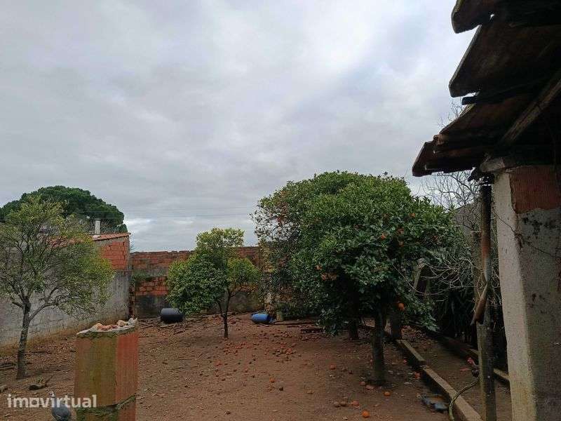 Vende-se barracao potencial para habitação - Grande imagem: 2/10