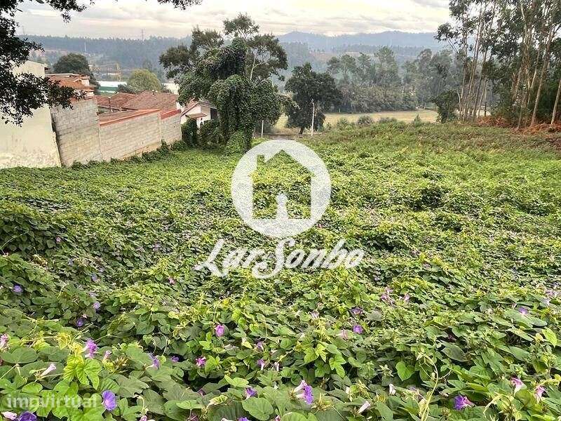 Terreno Agrícola com 4.600m2 em Guidões, Trofa - Grande imagem: 3/13