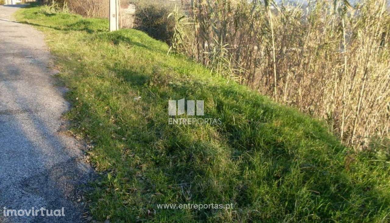 Venda Terreno próximo ao Rio Douro, Santa Marinha do Zêzere, Baião - Grande imagem: 4/10