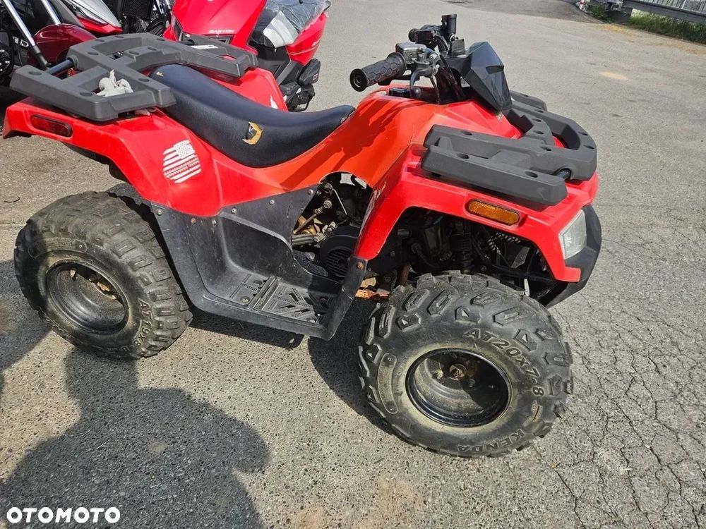 Arctic Cat Inny - 10