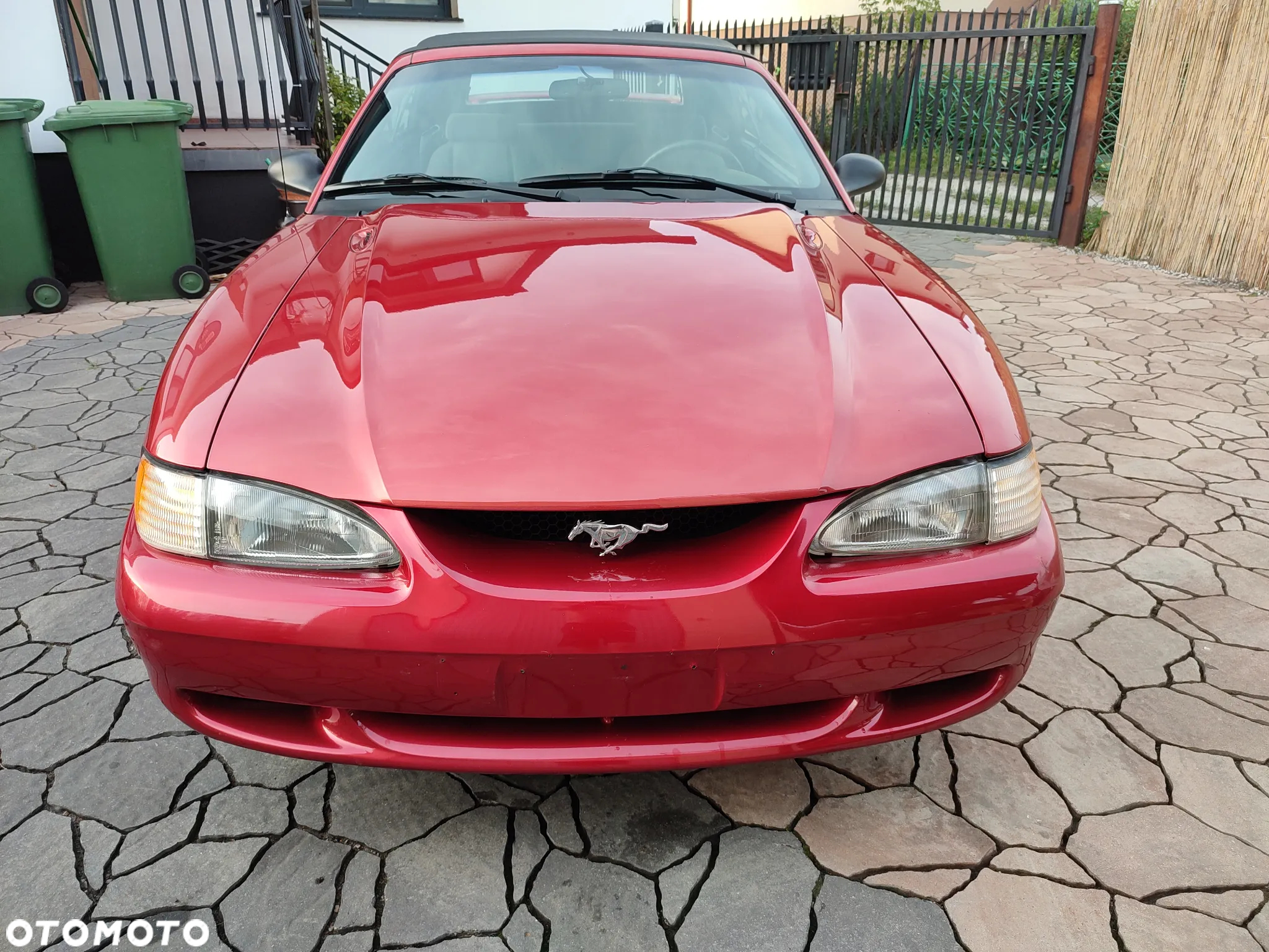 Ford Mustang - 3