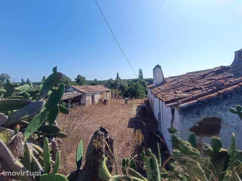 Terreno com 2 casas em Ruína - Grande imagem: 2/6