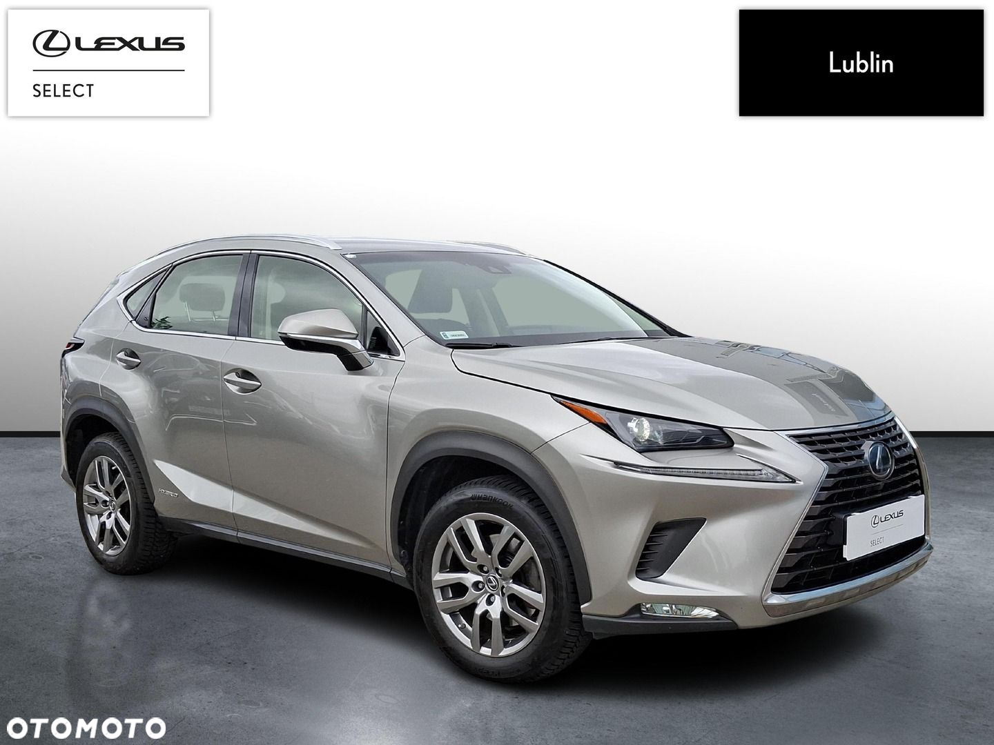 Lexus NX - 7