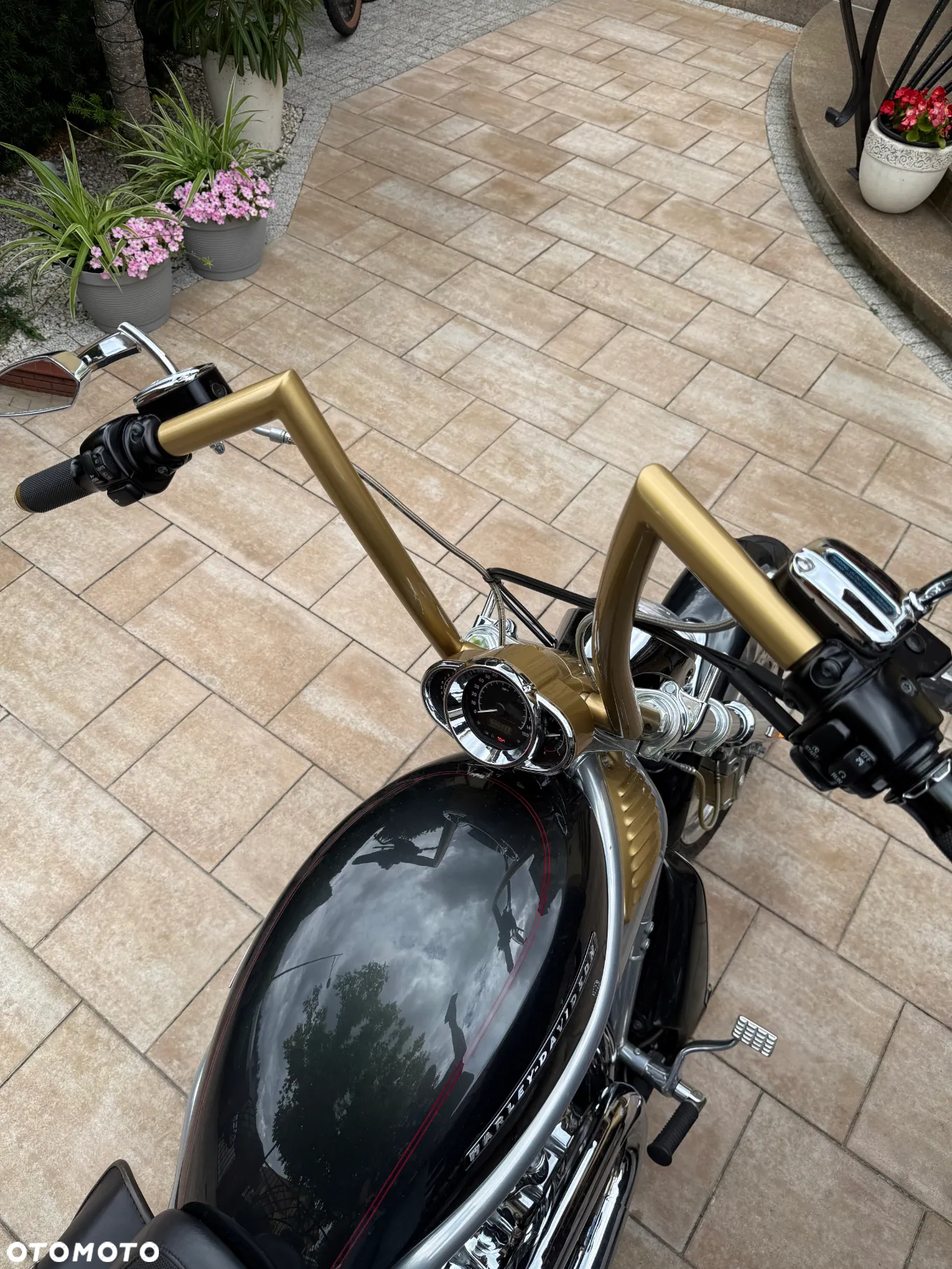 Harley-Davidson Softail V-Rod - 19