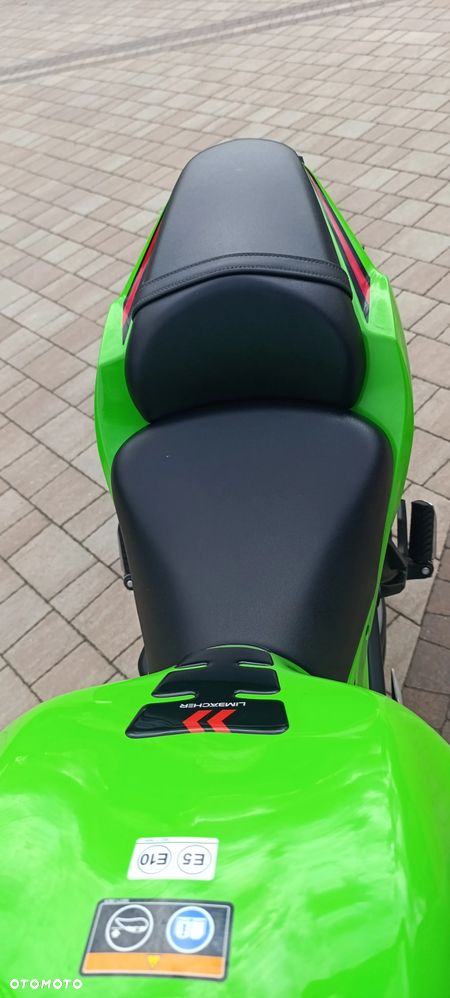 Kawasaki Ninja - 10