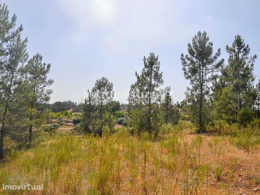 Terreno com 5.080 m² para construção de moradia - próximo de Proenç... - Grande imagem: 3/8