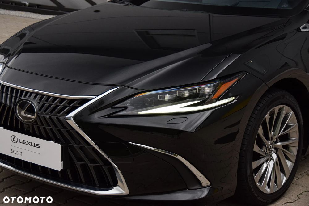 Lexus ES 300h Omotenashi - 21