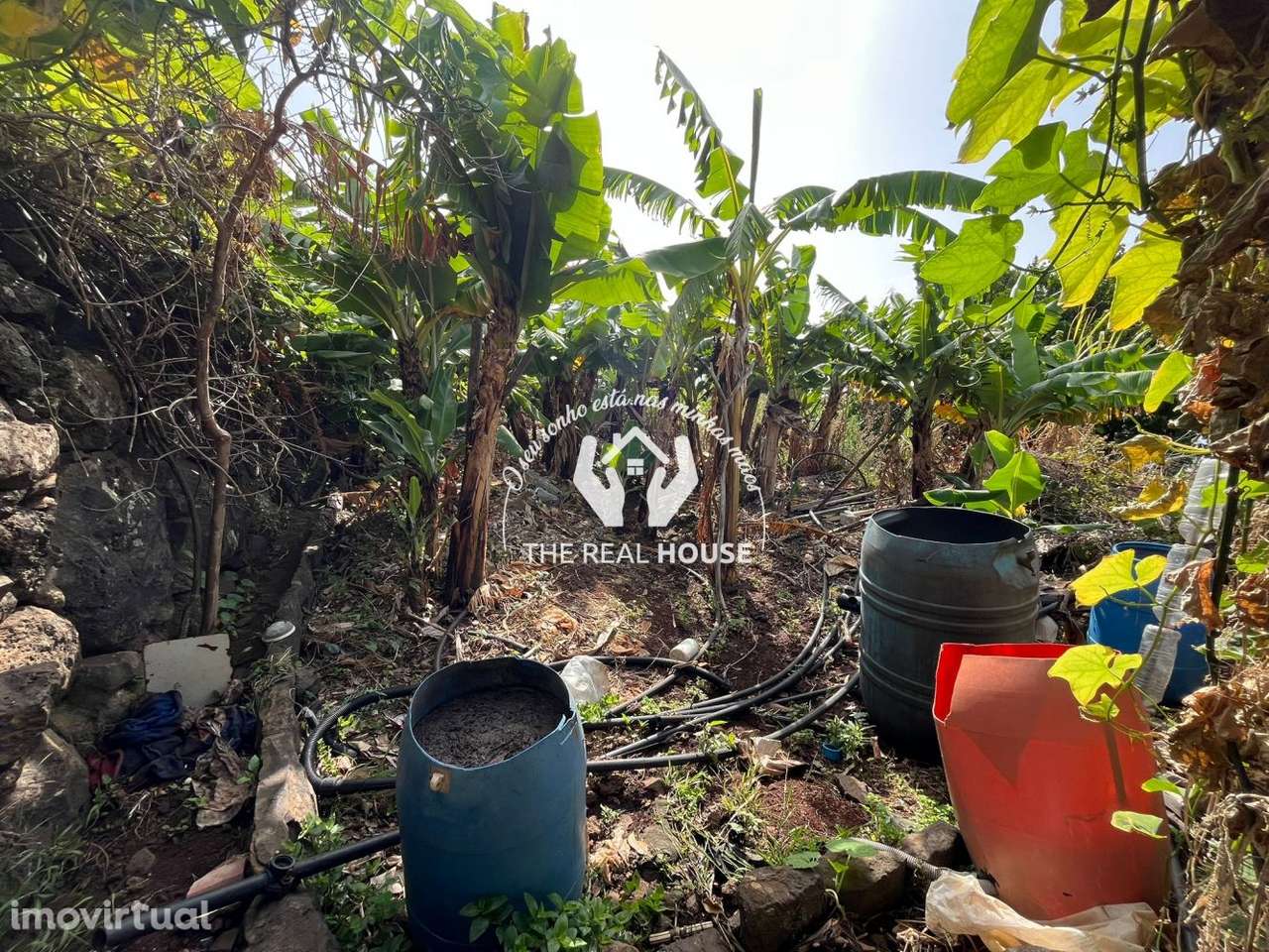 Terreno para Construção em Santa Cruz - Grande imagem: 4/20