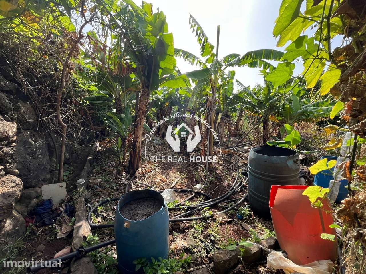 Terreno para Construção em Santa Cruz - Grande imagem: 4/20
