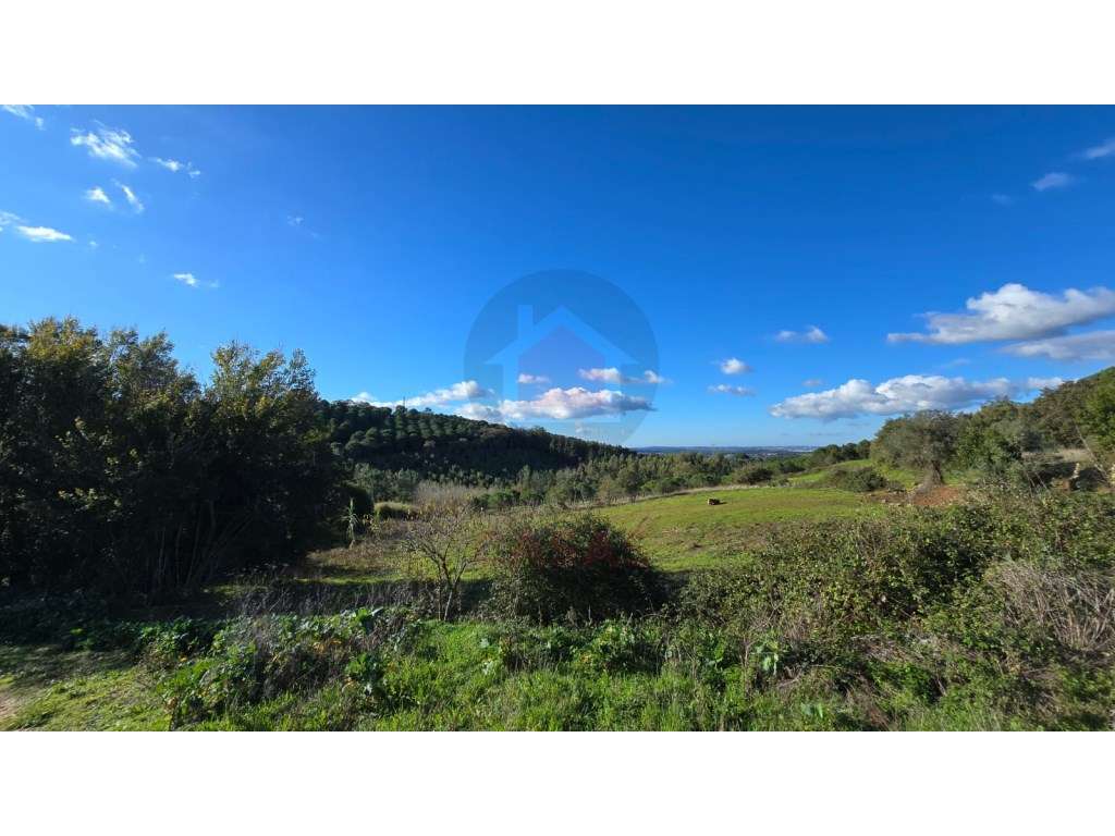 Terreno com 2.200 m², localizado em Pragança, no concelho do Cadaval - Grande imagem: 5/15