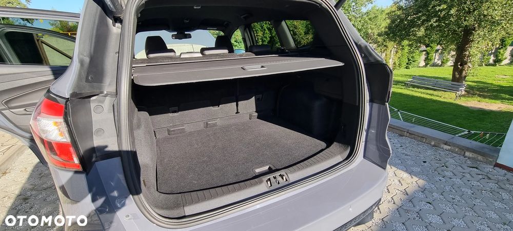 Ford Kuga 2019 photo 5