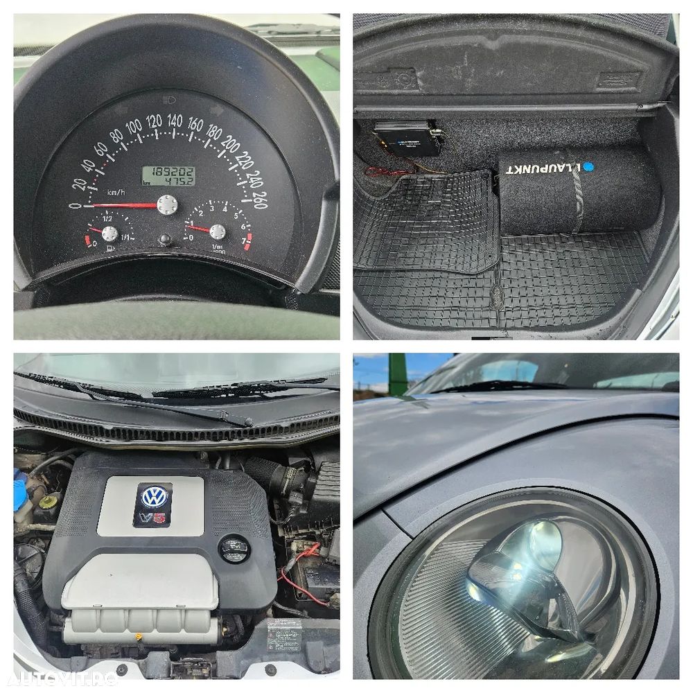 Volkswagen Beetle - 8