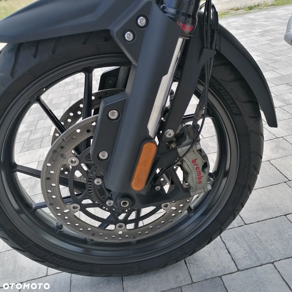 Triumph Tiger - 9