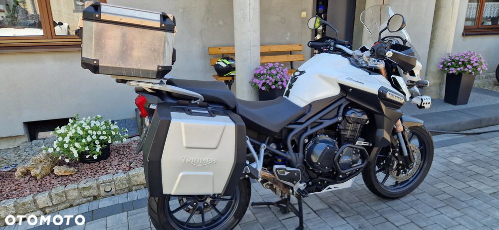 Triumph Tiger - 4