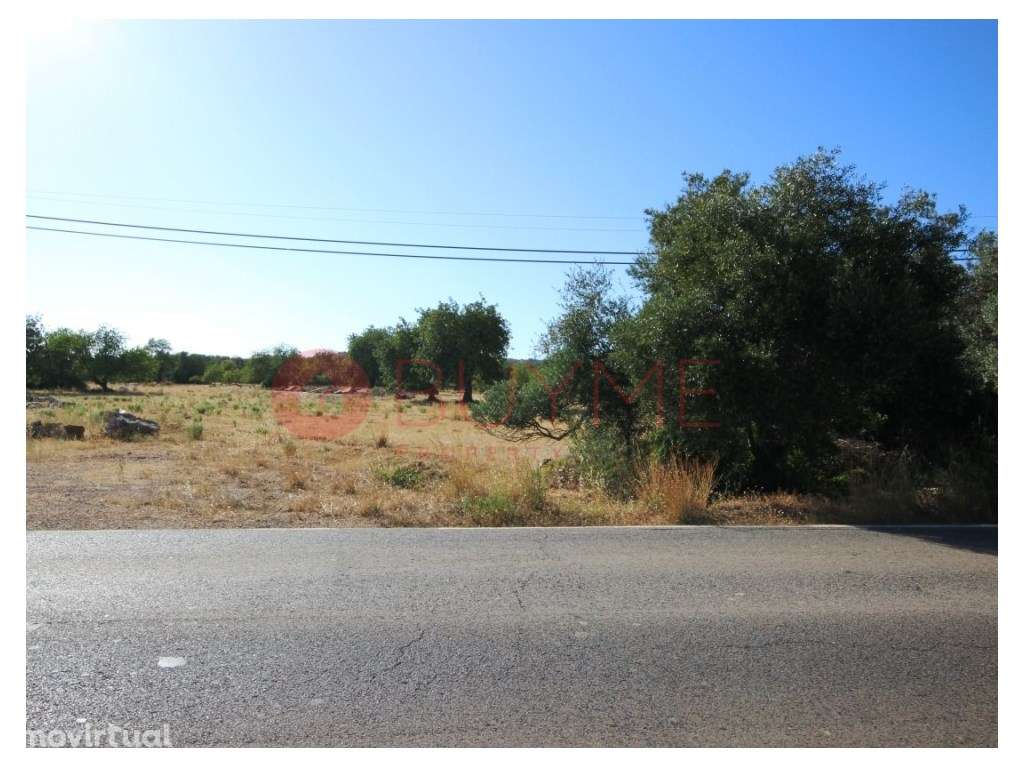 Terreno Rústico Plano em Boliqueime com Potencial de Desenvolvimento - Grande imagem: 2/4