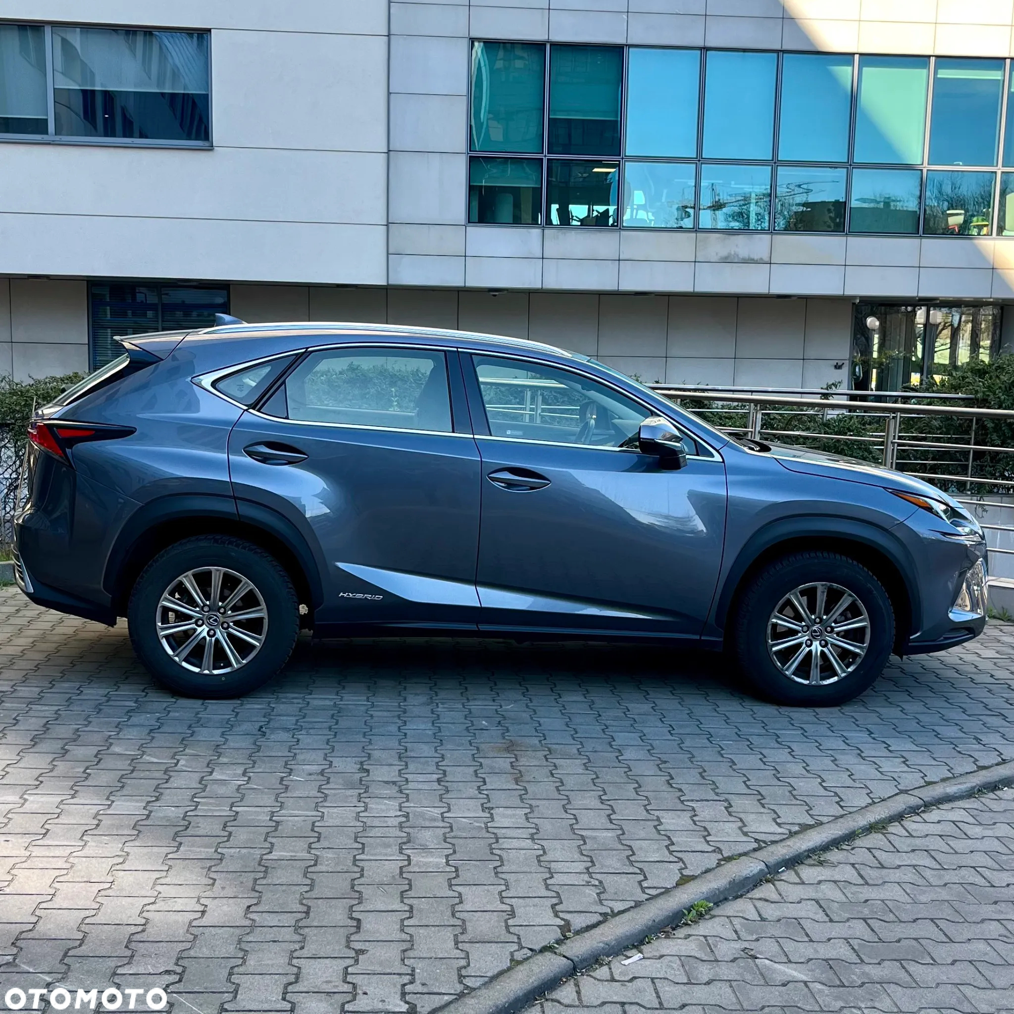Lexus NX 300h Business Edition - 6