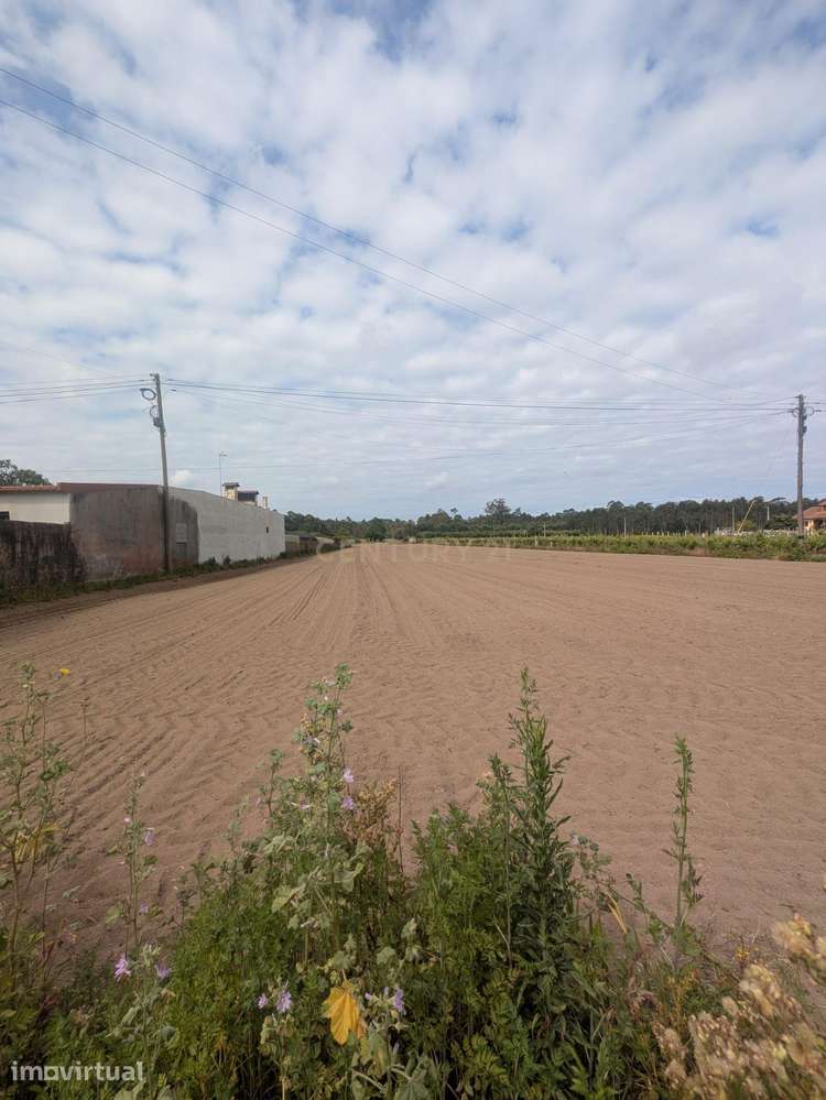Excelente oportunidade de investimento! TERRENO URBANIZÁVEL - Grande imagem: 3/11