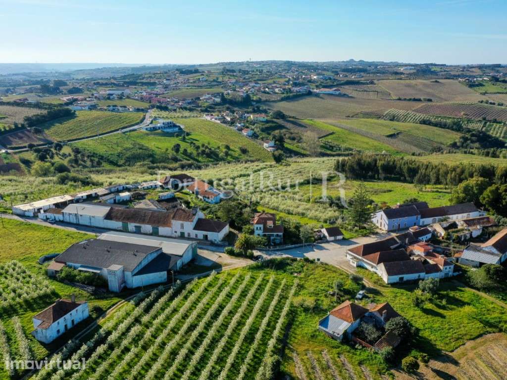 Antiga quinta agrícola com 11 hectares e 4700 m2 de construções, a ... - Grande imagem: 2/56