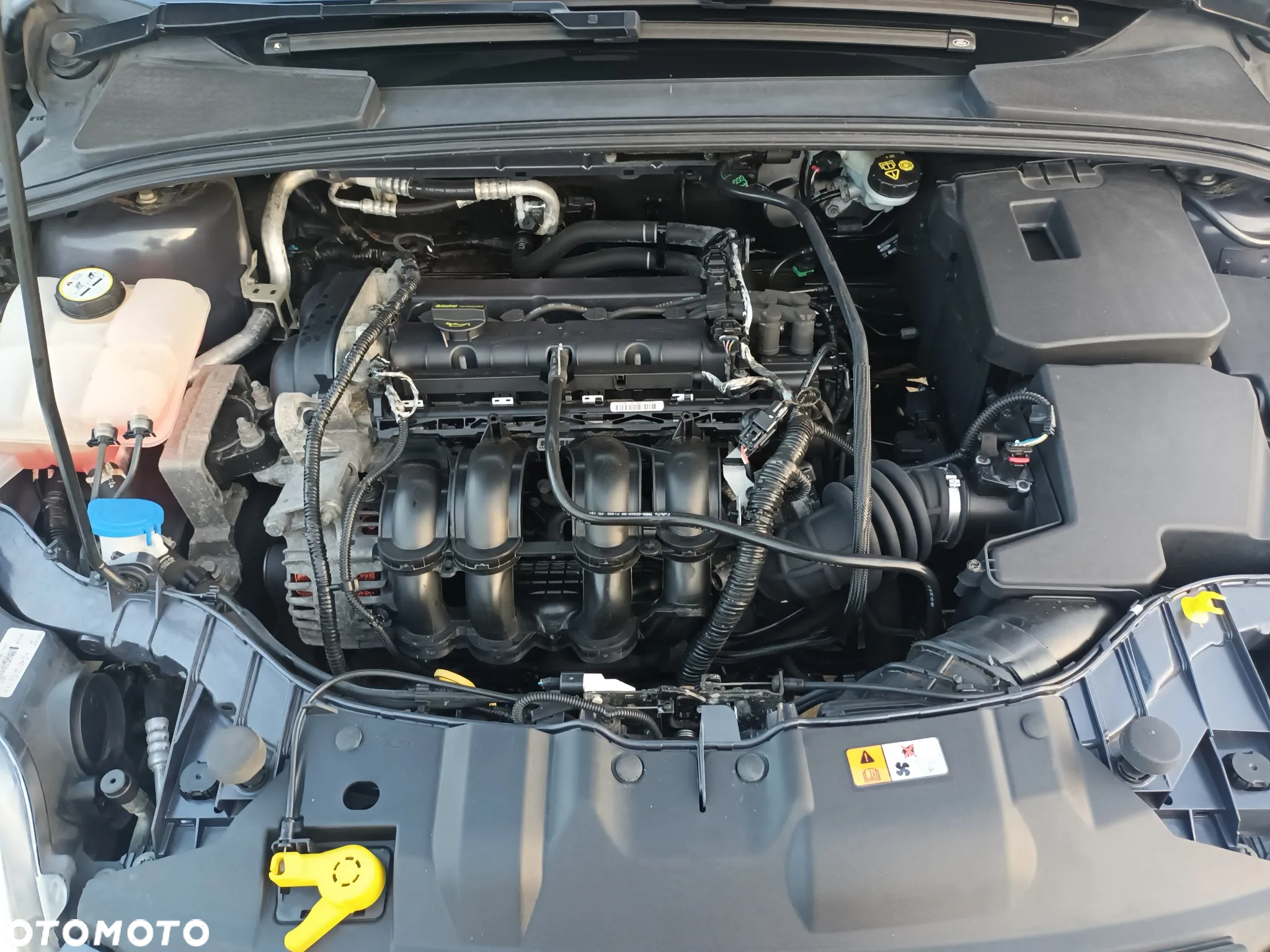 Ford Focus 1.6 Titanium - 25